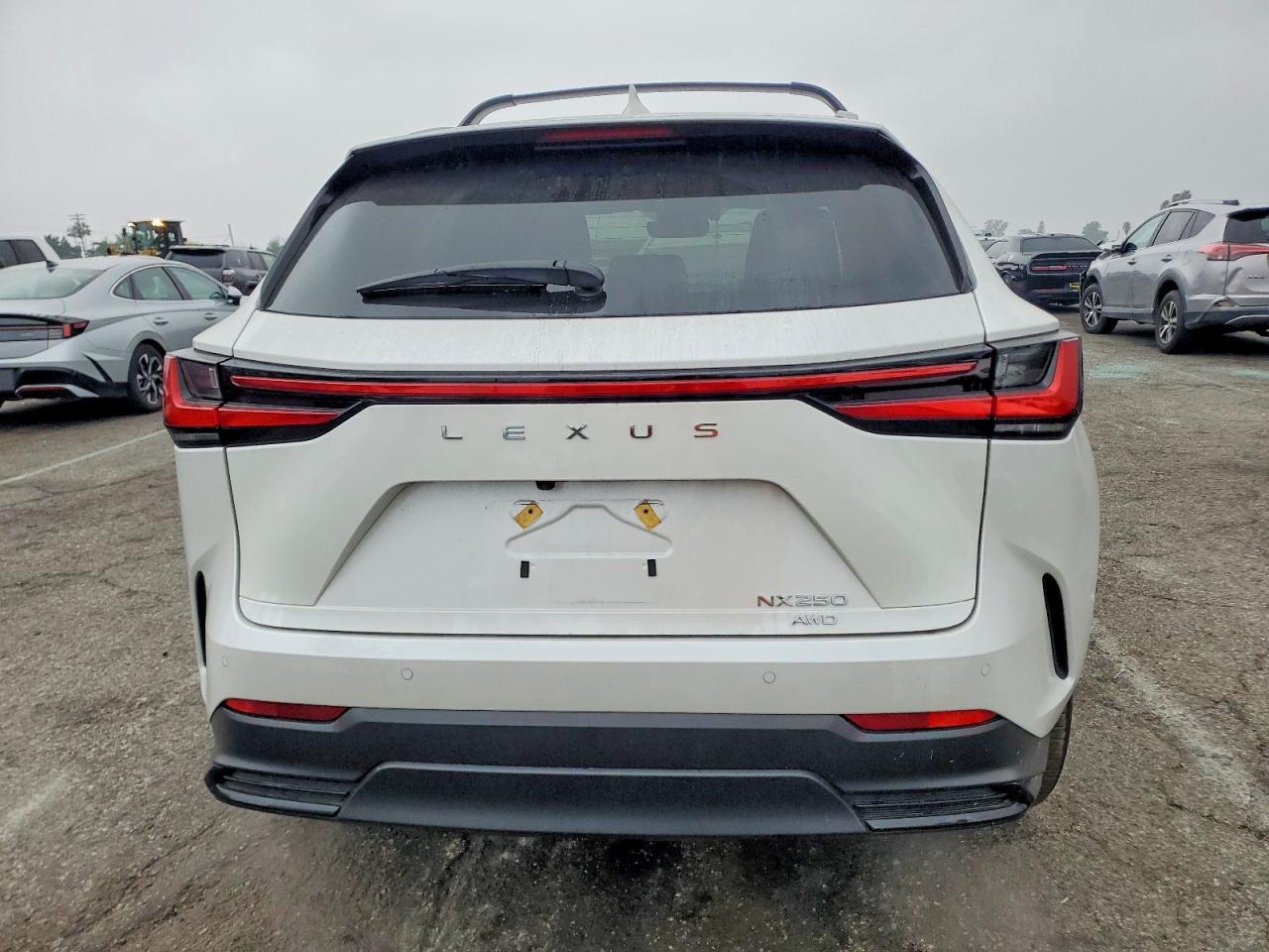 2025 LEXUS NX 250