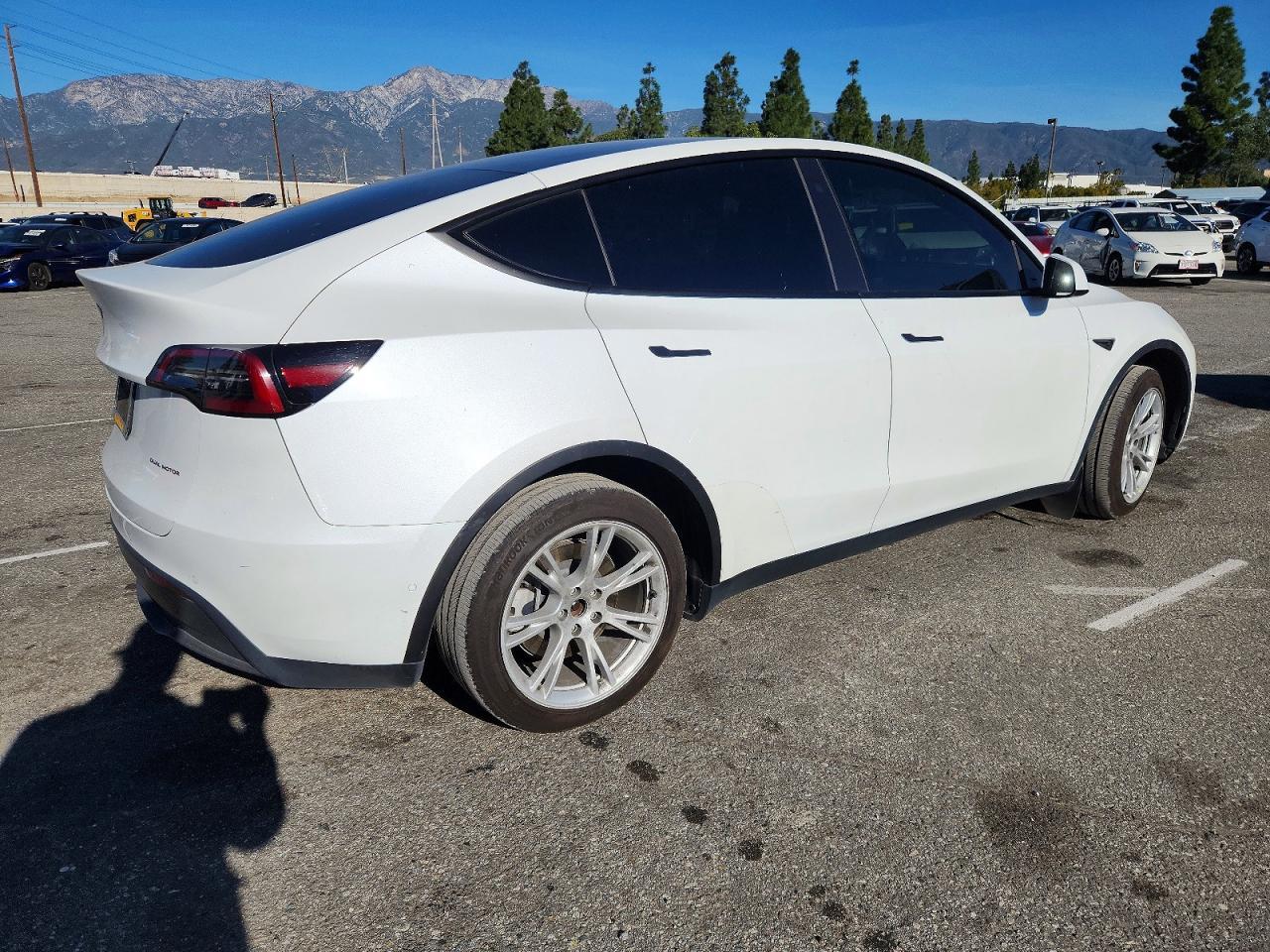 2021 TESLA MODEL Y