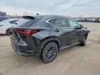 2025 LEXUS NX 250