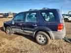 2004 FORD ESCAPE