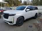 2023 CADILLAC ESCALADE