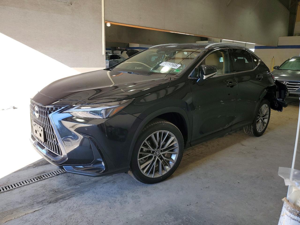 2026 LEXUS NX 350