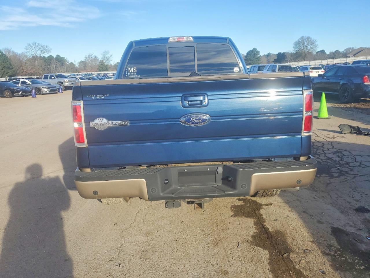 2014 FORD F-150 Lightning