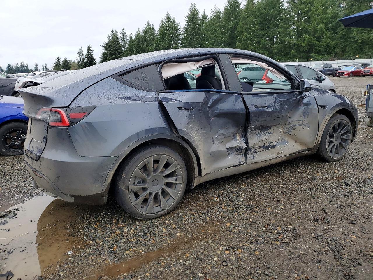 2020 TESLA MODEL Y