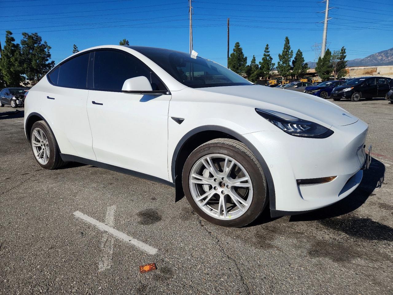2021 TESLA MODEL Y