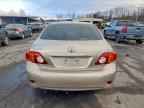 2009 TOYOTA COROLLA