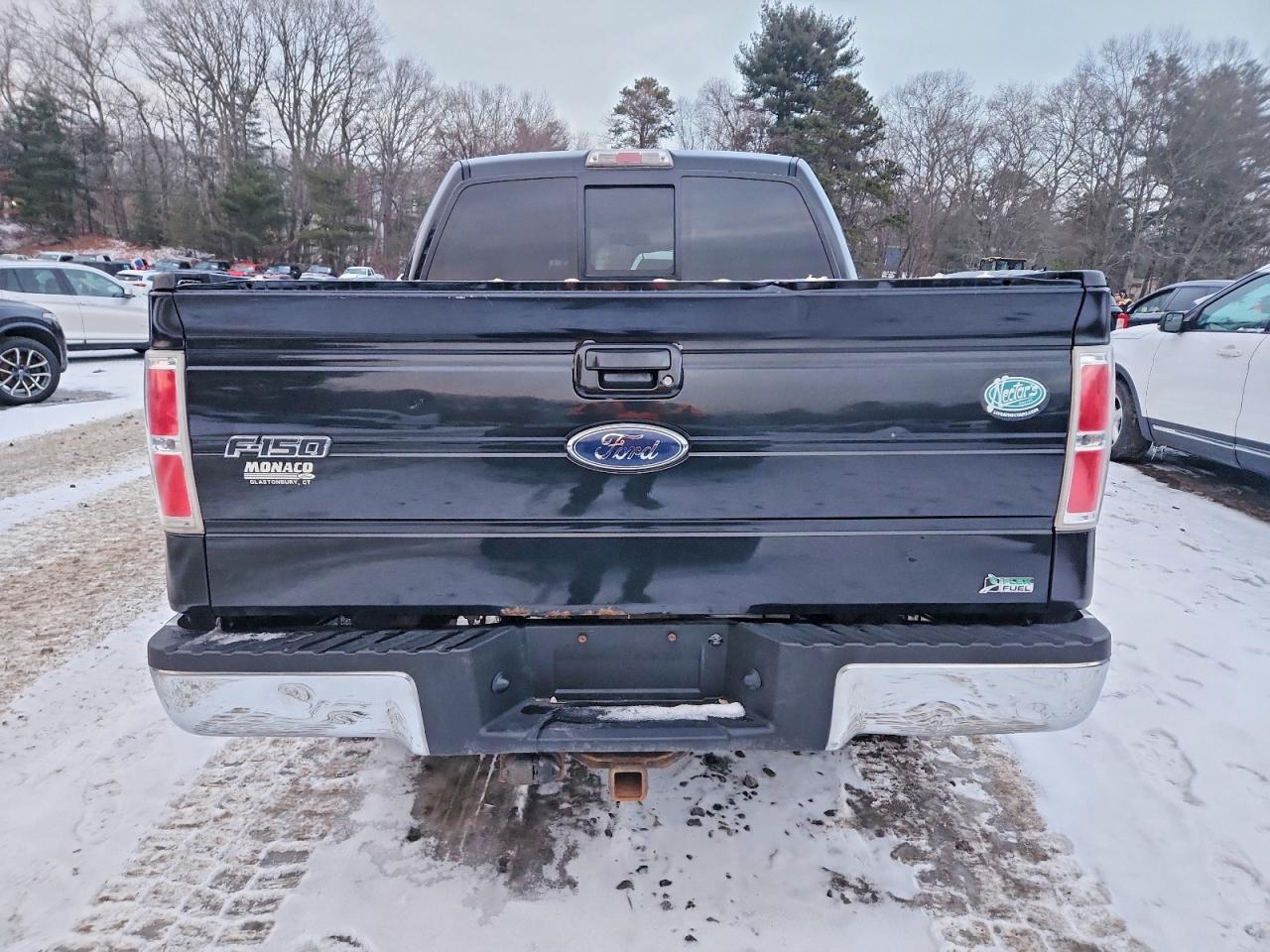 2010 FORD F-150
