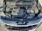 2025 KIA SELTOS