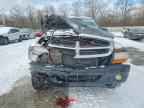 2004 DODGE Dakota