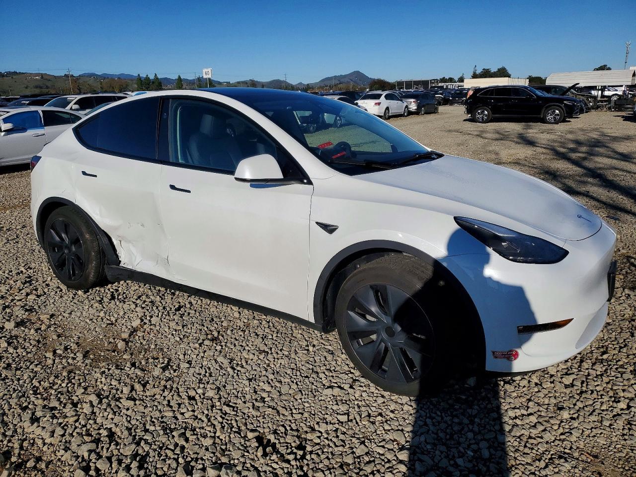 2024 TESLA MODEL Y