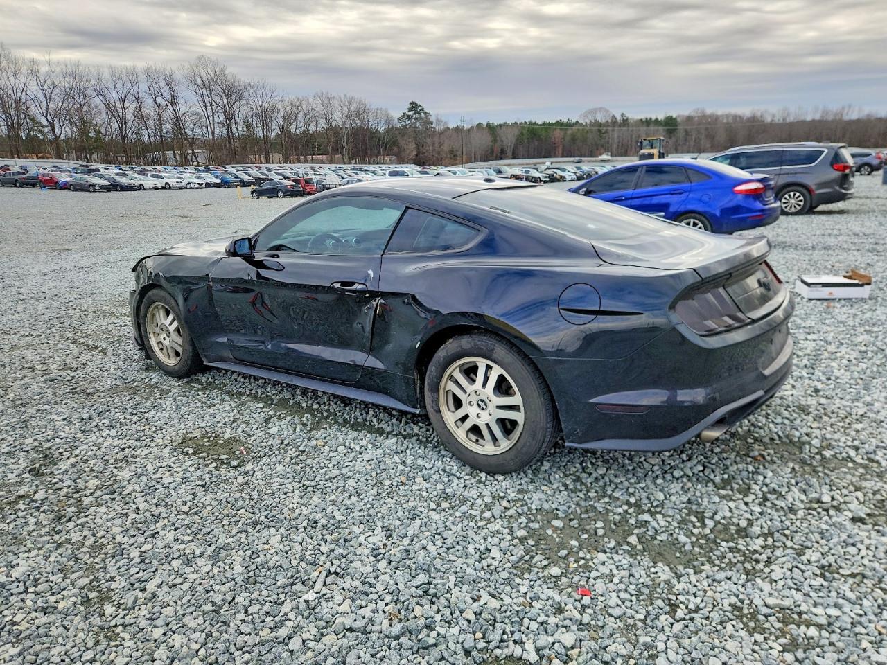 2019 FORD MUSTANG