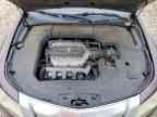 2010 ACURA TL