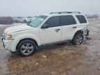 2010 FORD ESCAPE