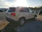 2011 KIA SORENTO
