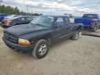 2000 DODGE Dakota