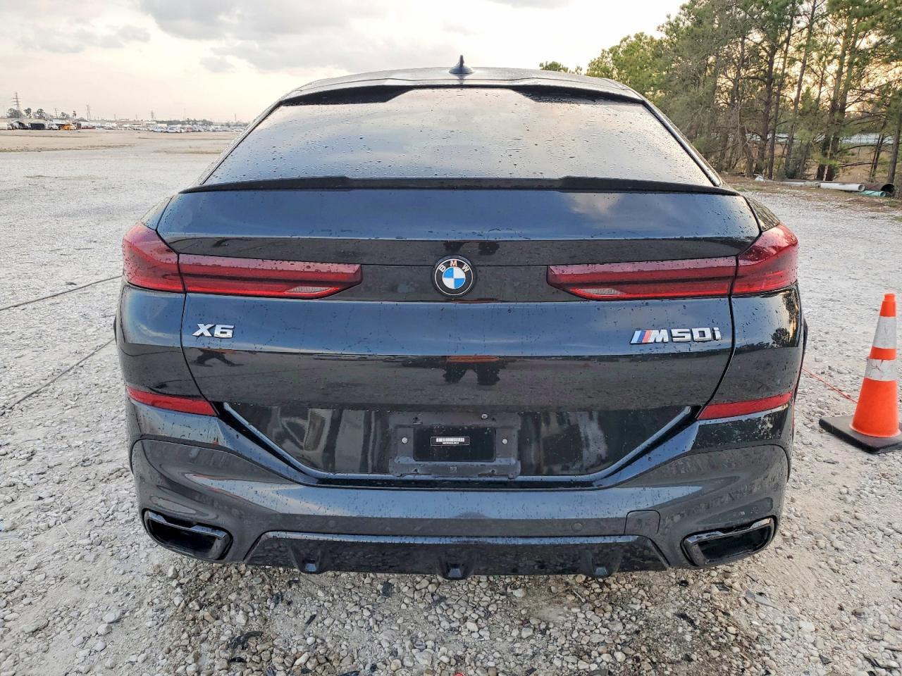2022 BMW X6