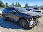 2024 LEXUS NX 350