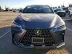 2023 LEXUS NX 250