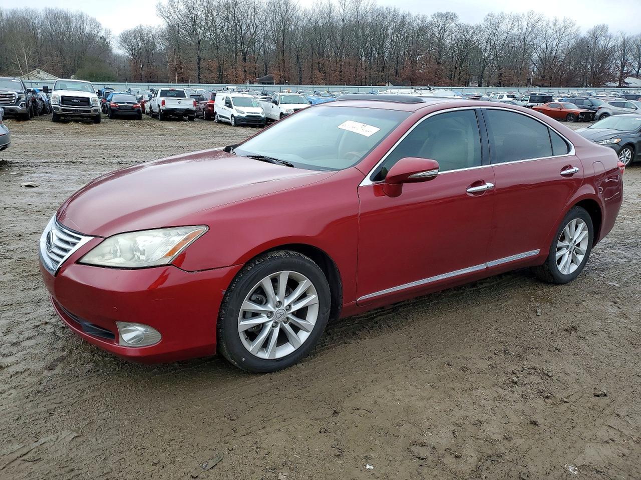 2010 LEXUS ES 350
