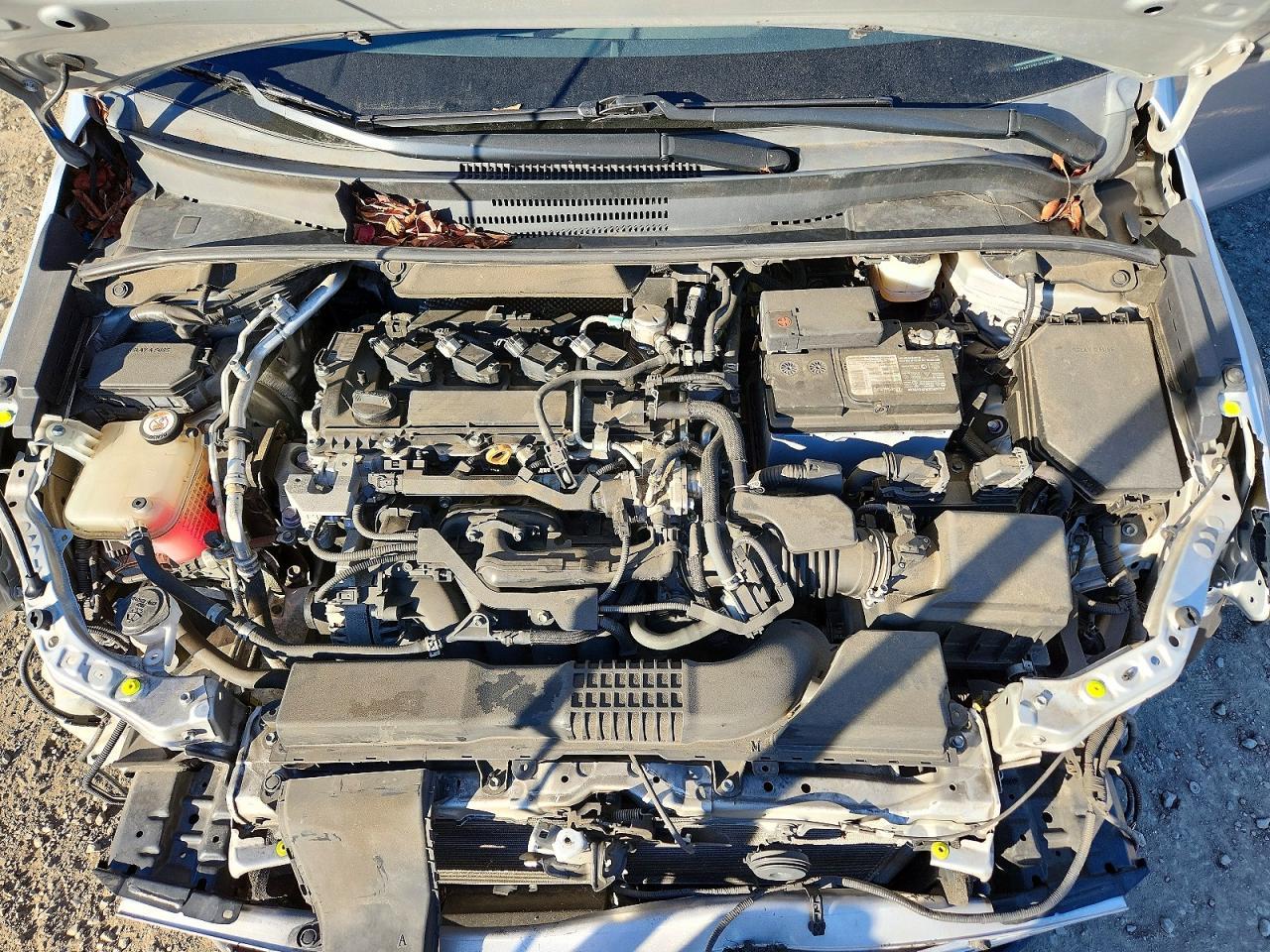 2020 TOYOTA COROLLA