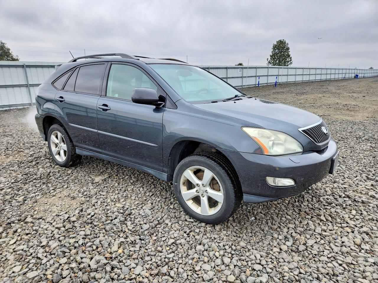 2006 LEXUS Rx 330