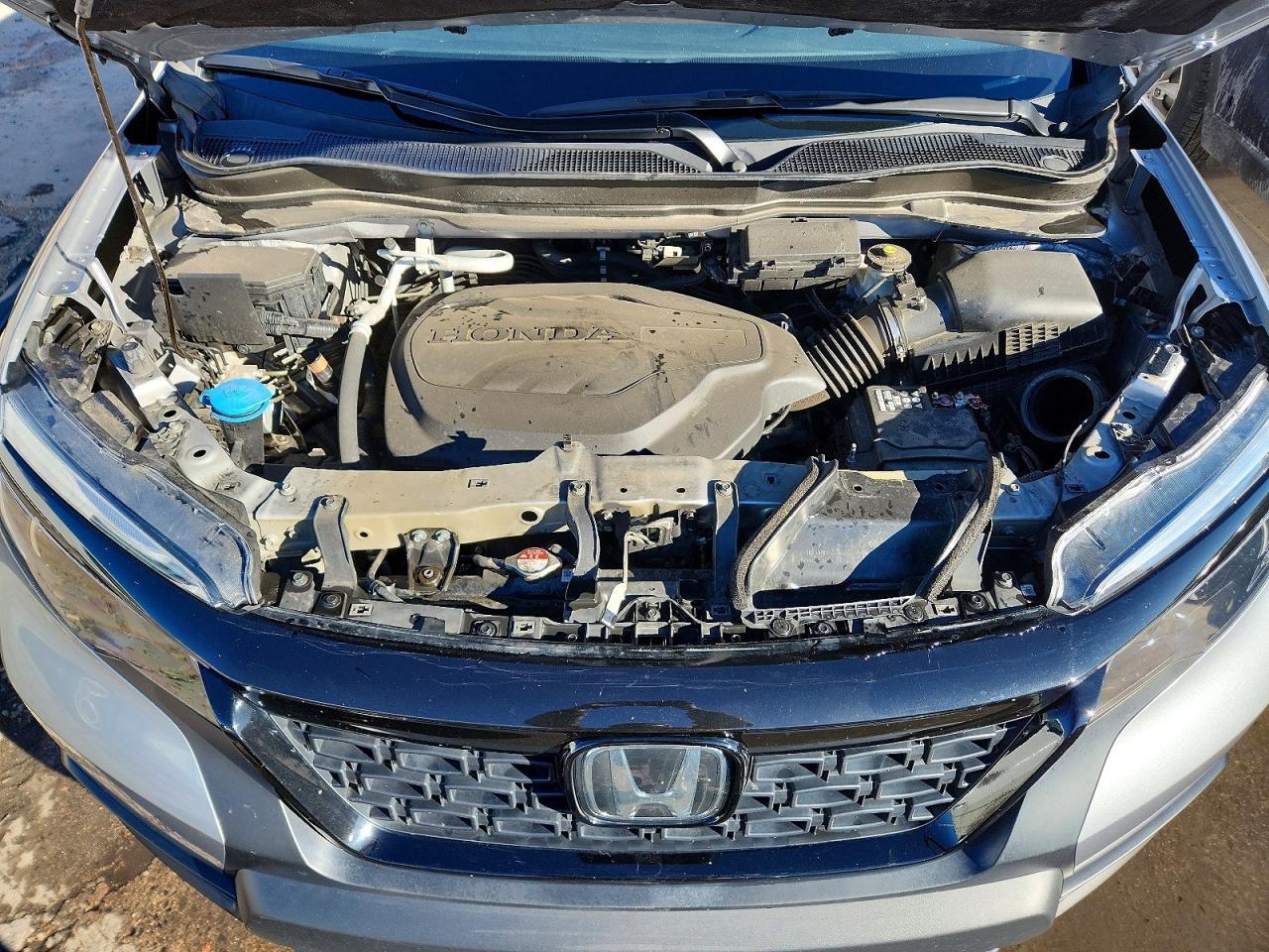 2021 HONDA Passport