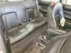 2009 VOLKSWAGEN Beetle