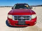 2010 FORD ESCAPE