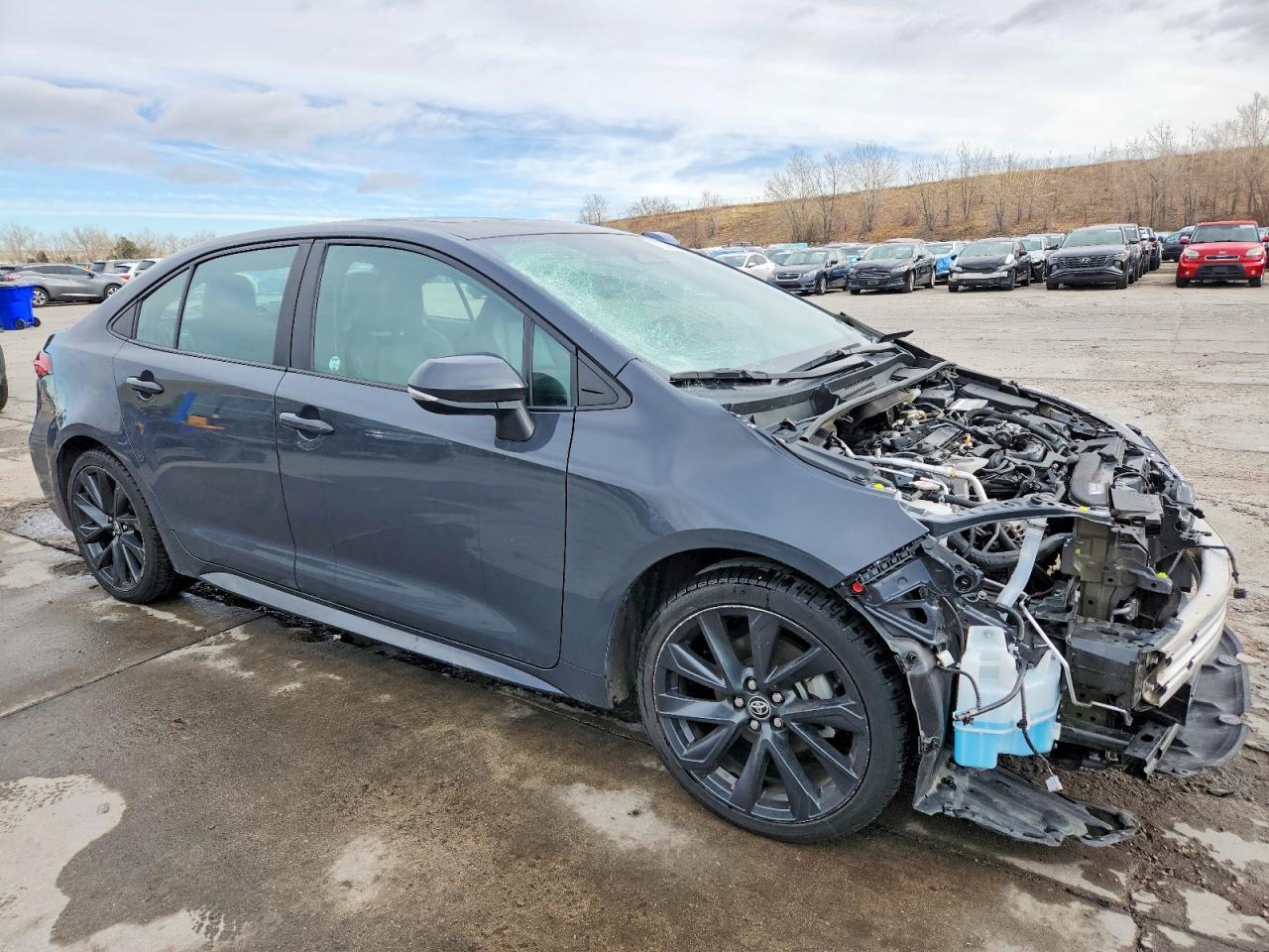 2024 TOYOTA COROLLA