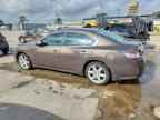2014 NISSAN Maxima