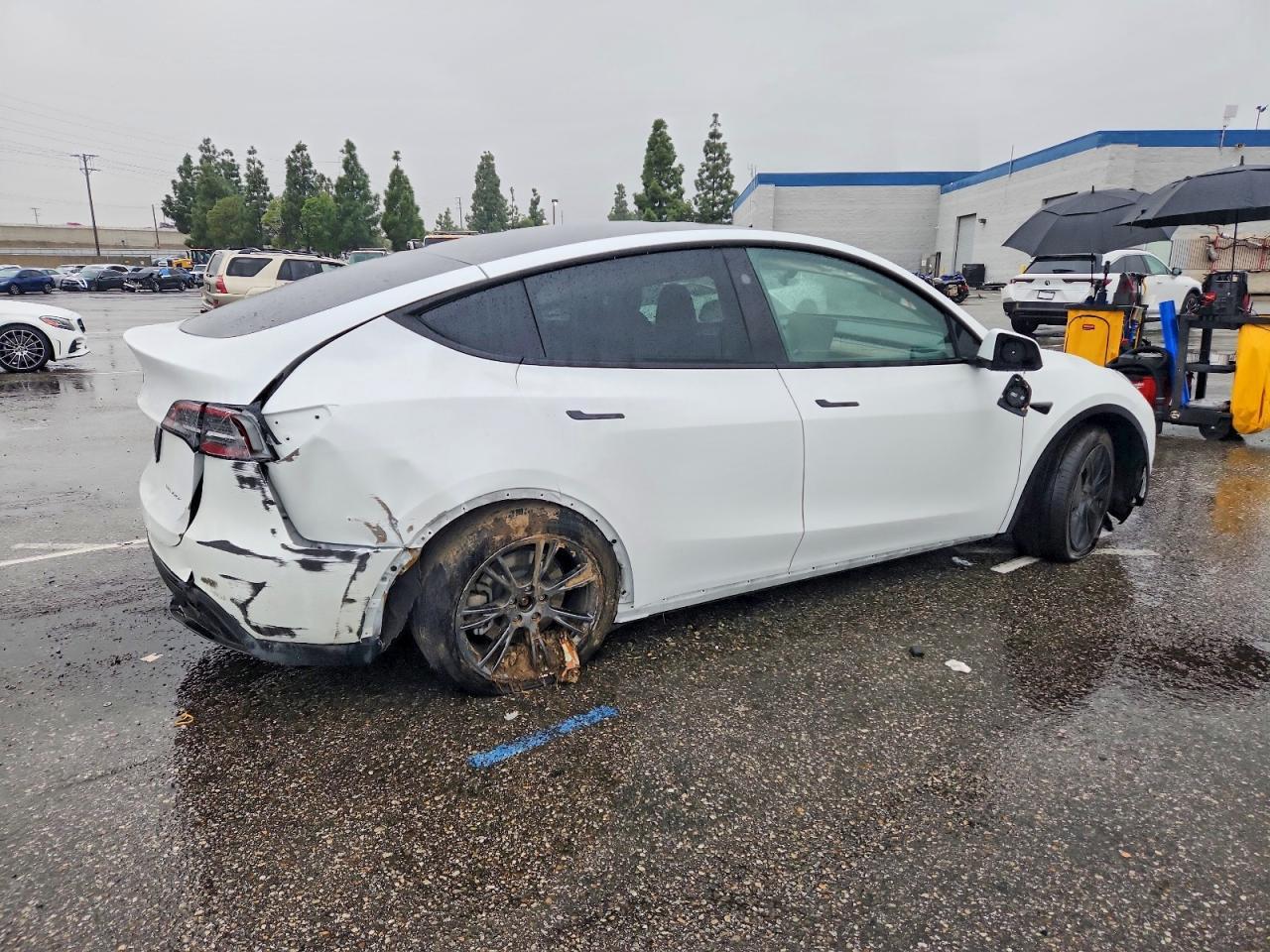2024 TESLA MODEL Y