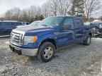 2009 FORD F-150