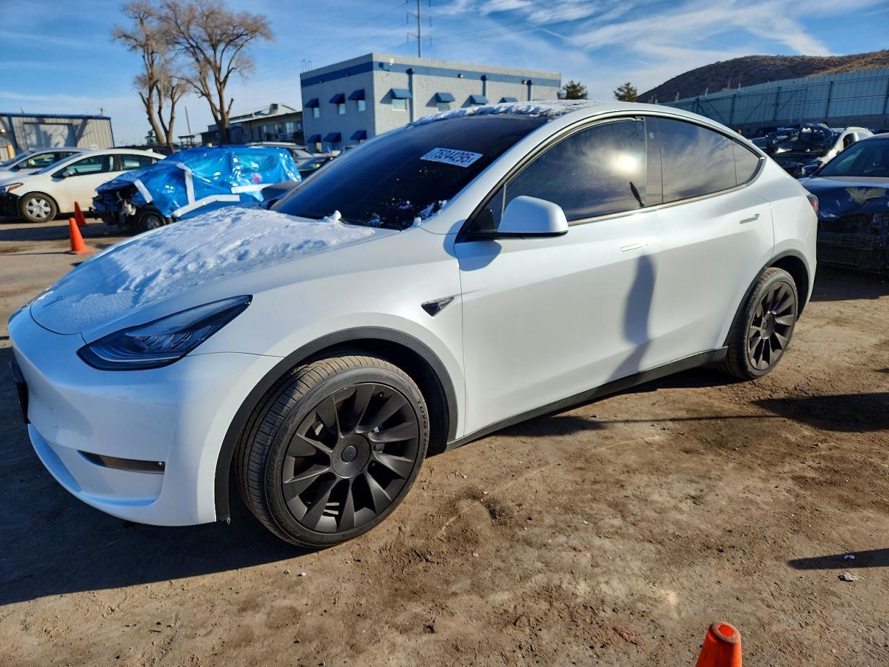 2023 TESLA MODEL Y