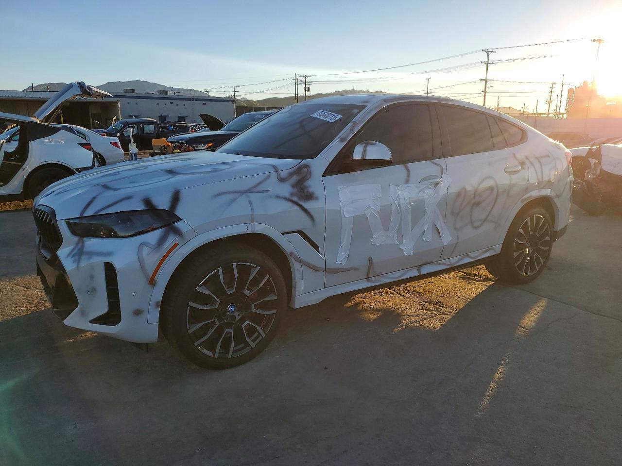 2024 BMW X6