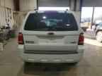 2009 FORD ESCAPE