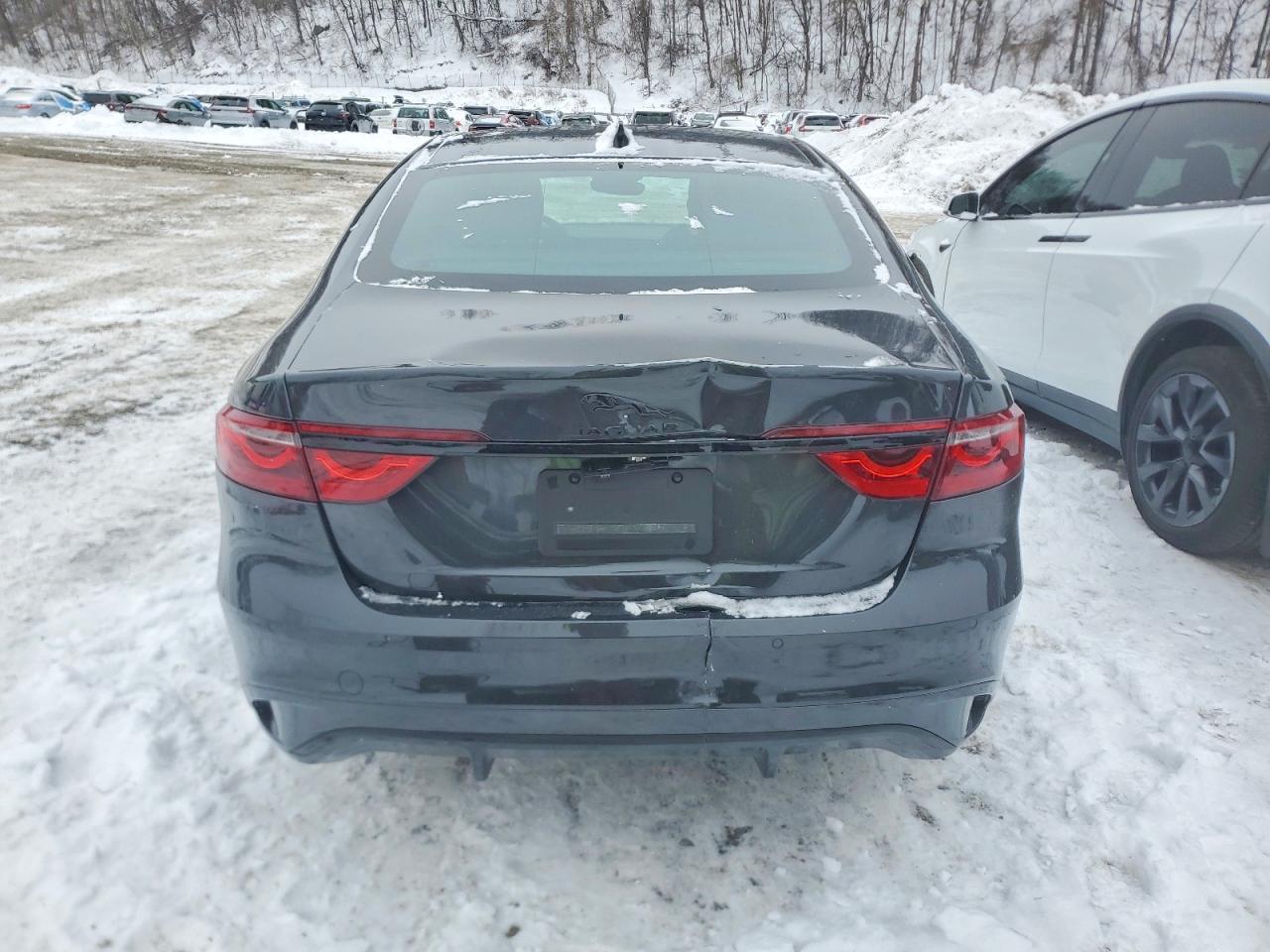 2024 JAGUAR XF