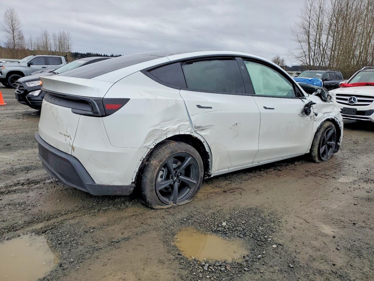 2026 TESLA MODEL Y