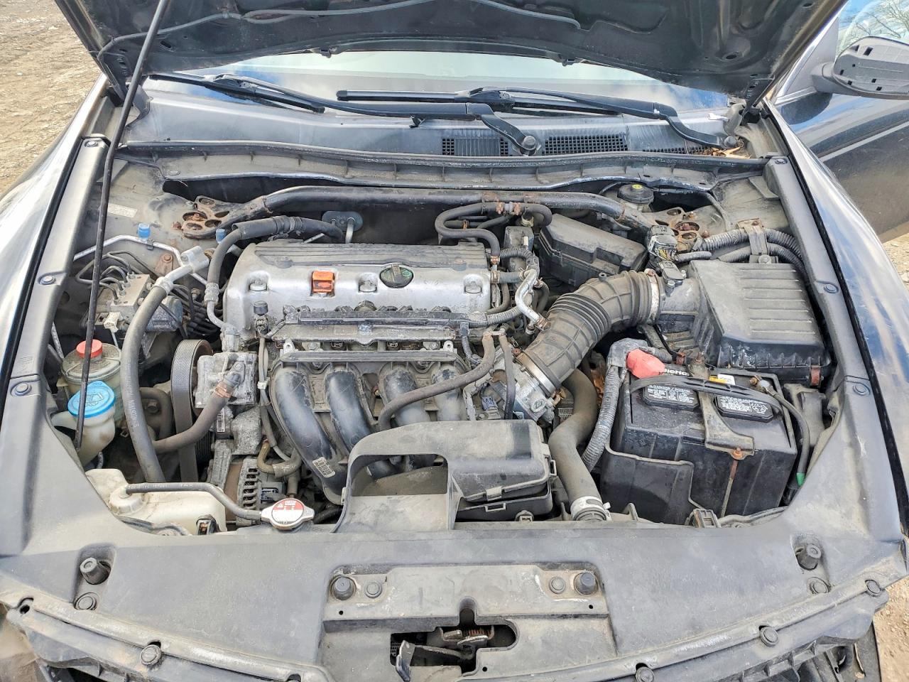 2010 HONDA ACCORD