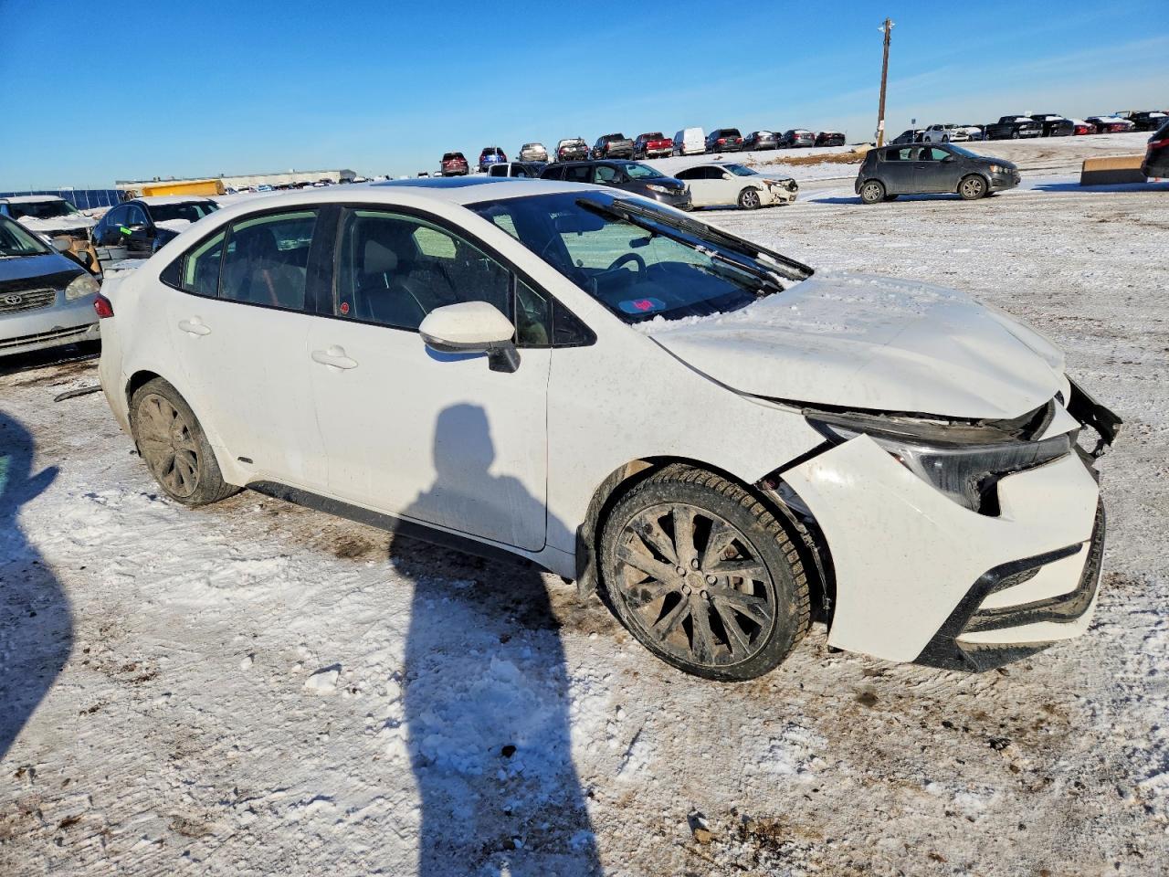 2024 TOYOTA COROLLA