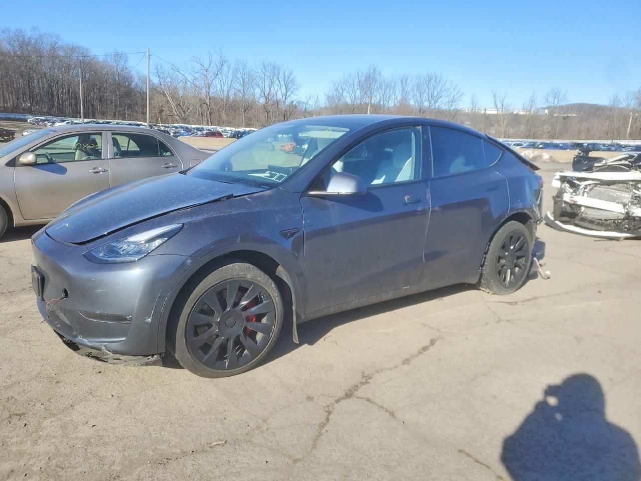 2023 TESLA MODEL Y