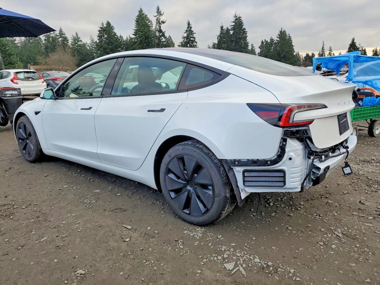 2025 TESLA MODEL 3