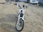 2004 HARLEY-DAVIDSON FXSTDI