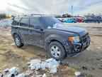 2010 FORD ESCAPE