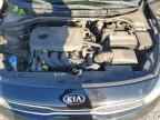 2019 KIA RIO