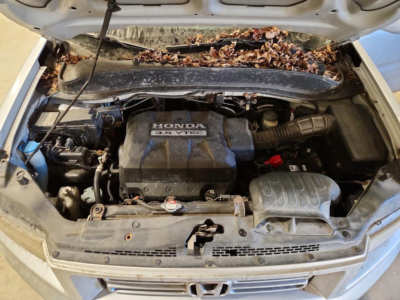2008 HONDA Ridgeline