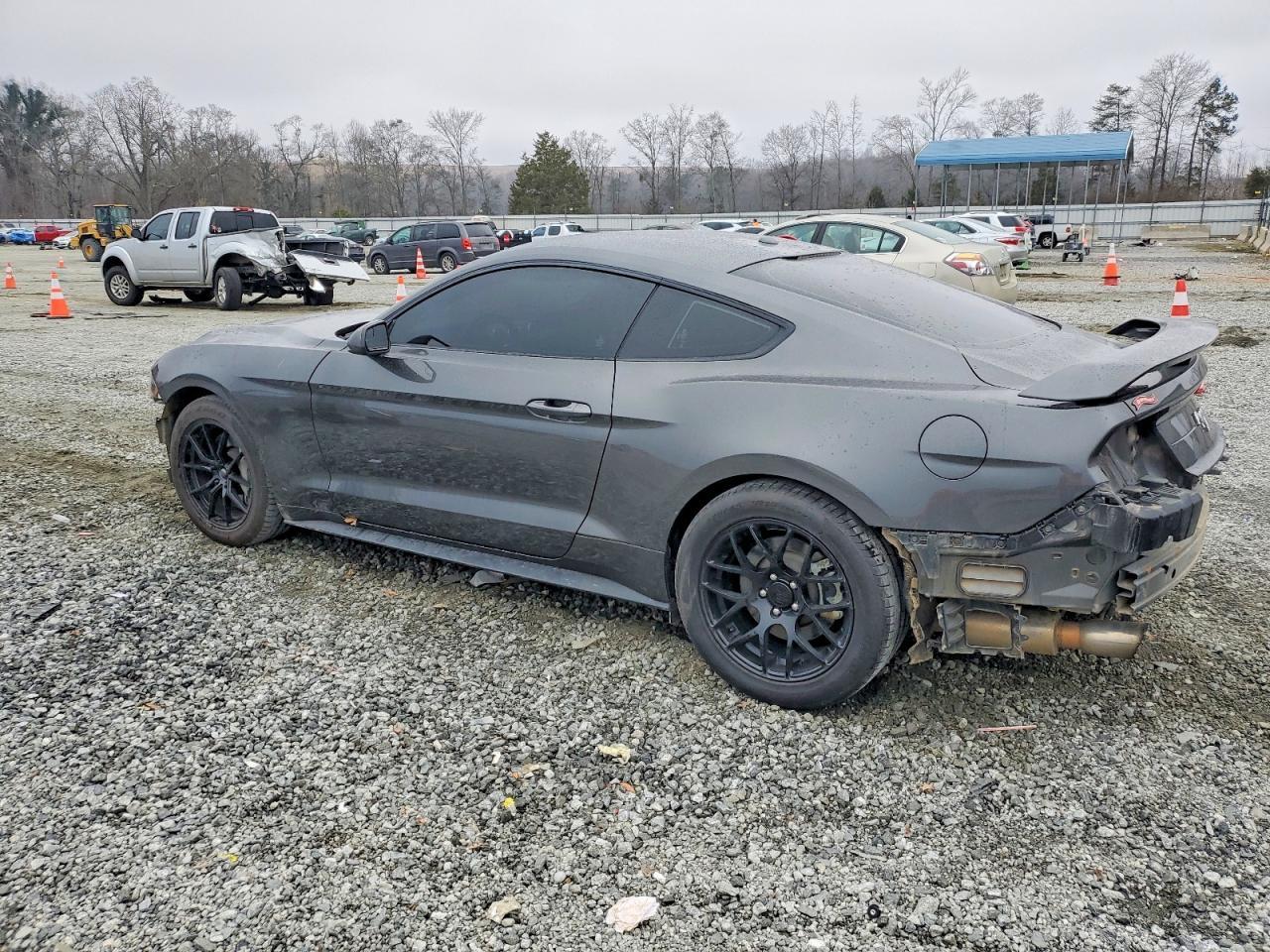 2019 FORD MUSTANG