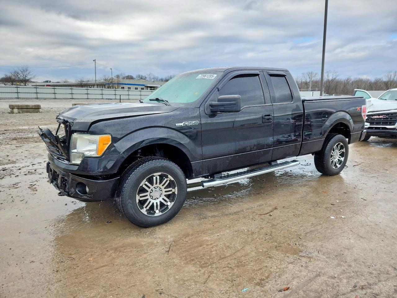 2010 FORD F-150