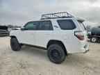 2023 TOYOTA 4Runner