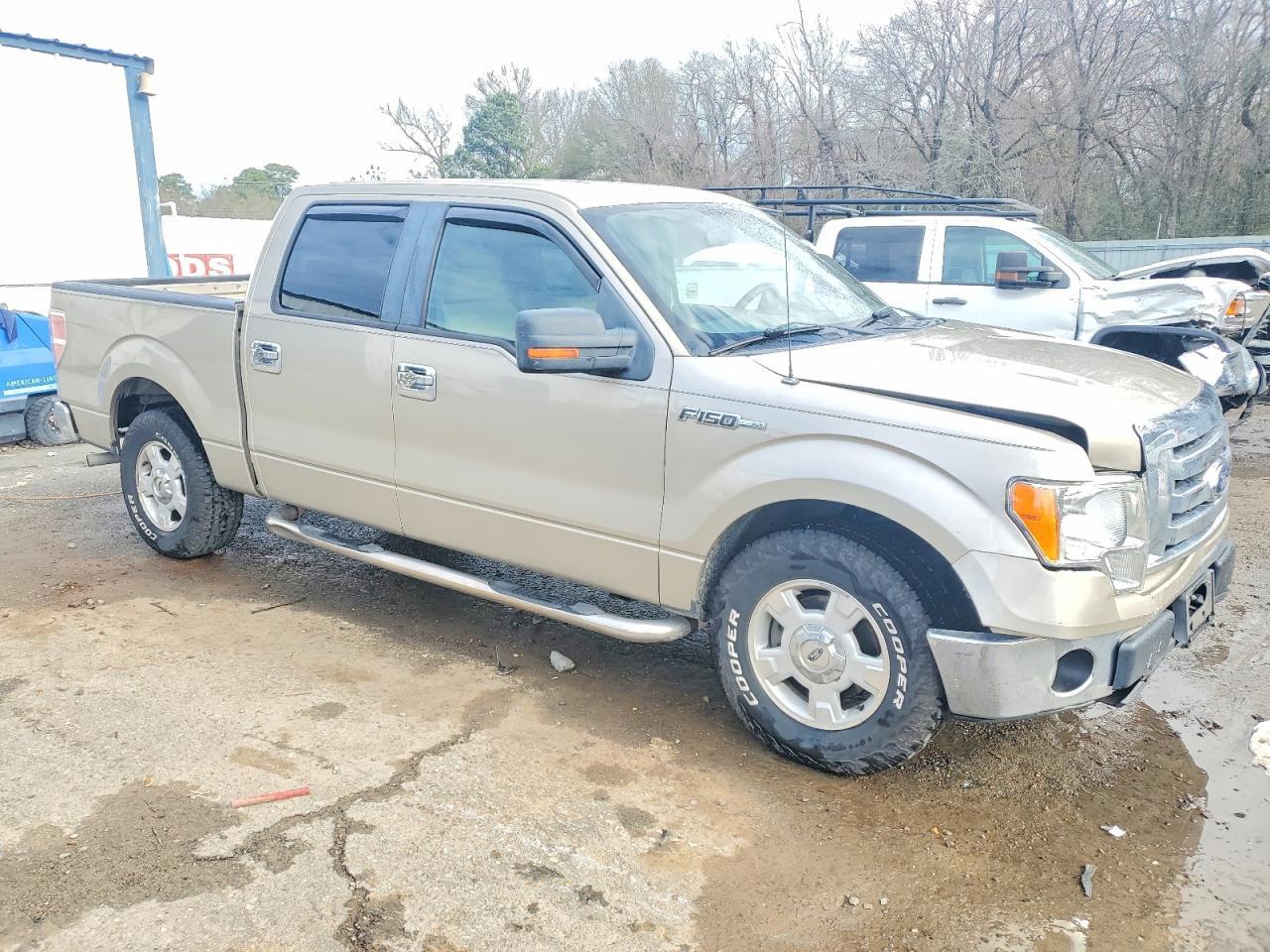 2009 FORD F-150