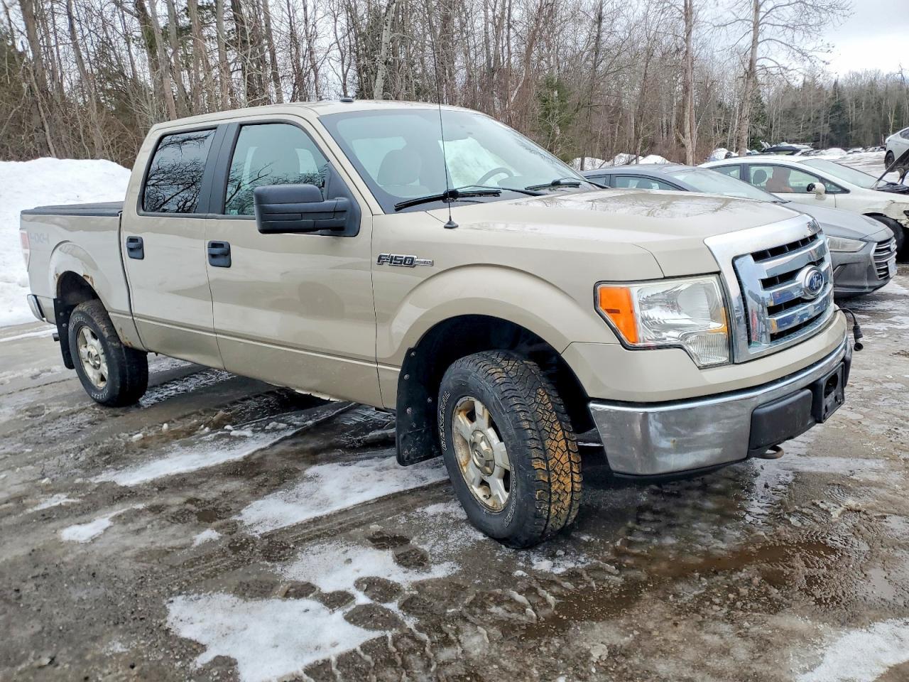 2009 FORD F-150